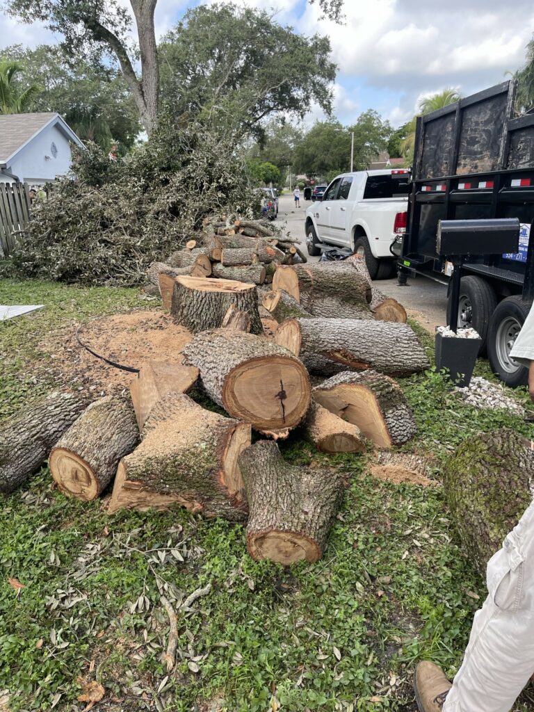 tree removal